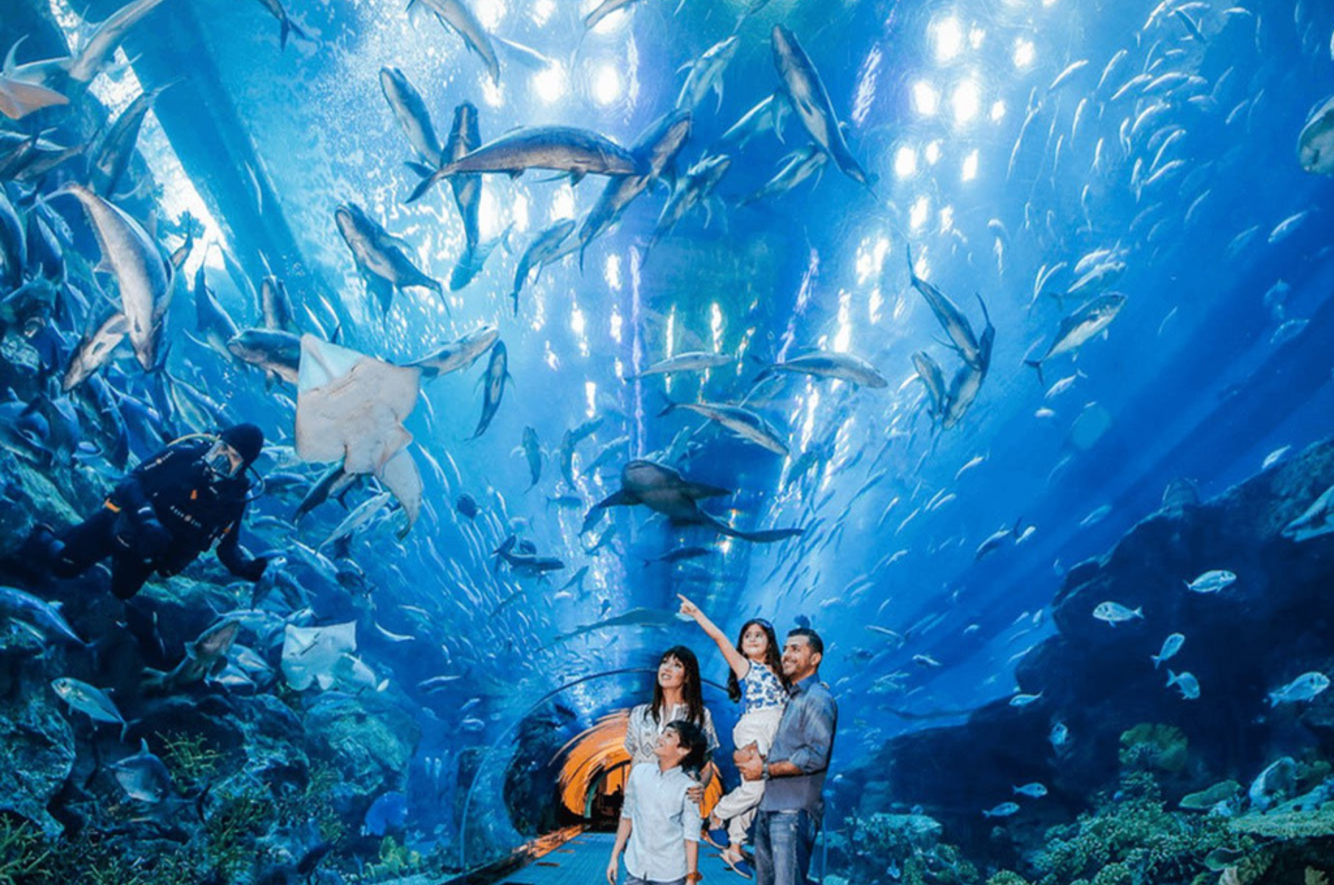 Thủy cung Vinpearl Aquarium Times City - Nơi đón ngày thiếu nhi tuyệt vời